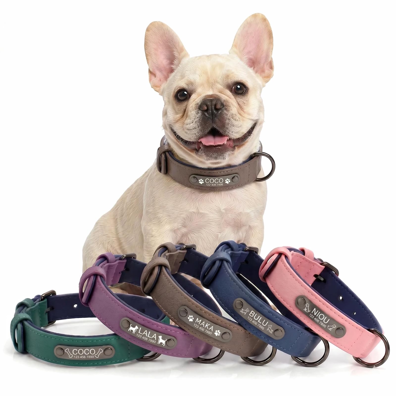 Personalisiertes Leder Hundehalsband mit Namensschild, Name & Tel. Gravur | Hundehalsband mit Namensschild (innen & außen Leder). Mit Gravur von Name, Nummer & Motiven. Ideal für Outdoor.