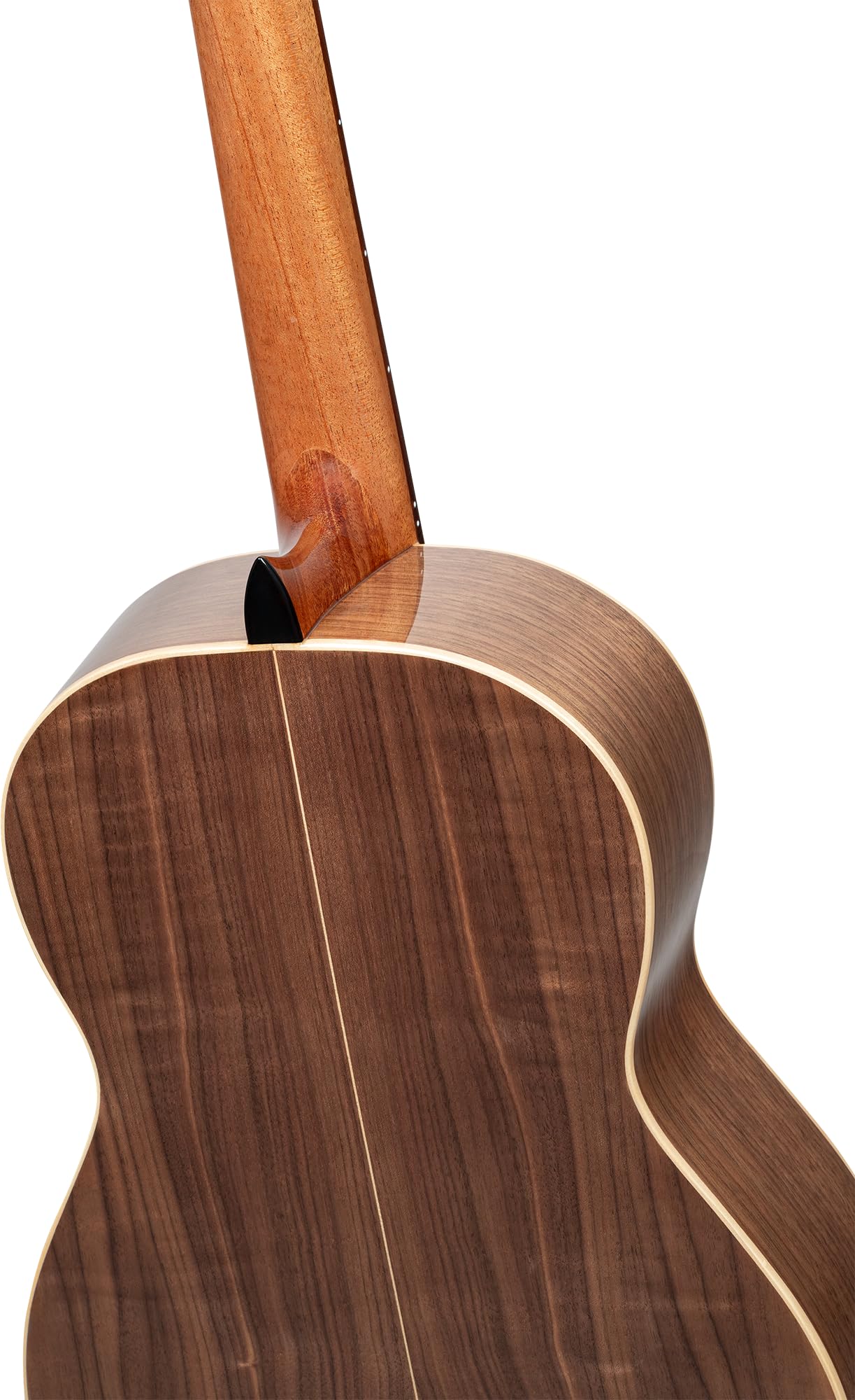 Ortega Traditional Series - Chitarra con corde in nylon, realizzata a mano in Spagna, con manico sottile e custodia professionale (R20GSNWN)
