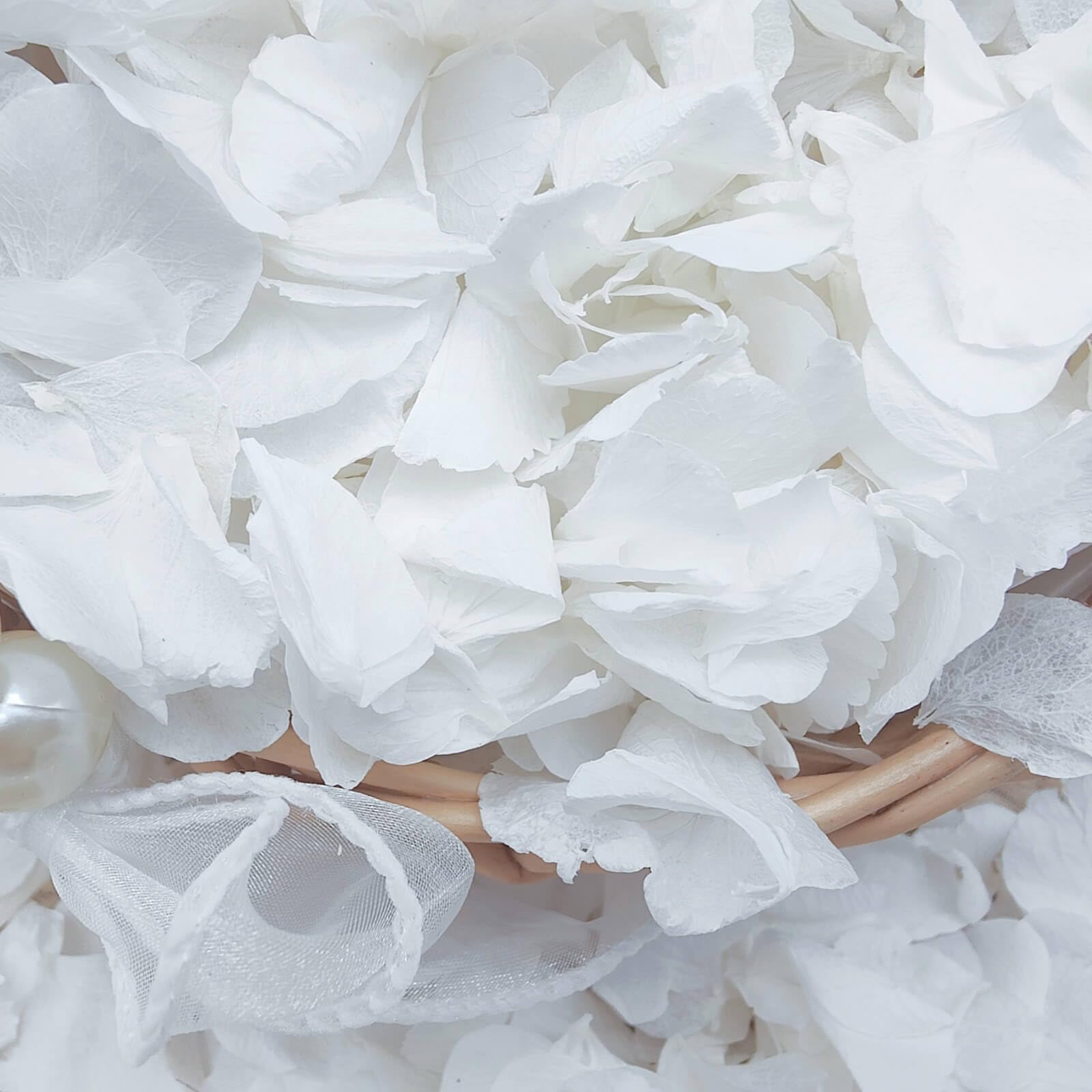 Real Dried Lvory White Hydrangea Petals - 0.88 oz Preserved Natural Flower Petals for Wedding Decor, Flower Girl, Party Confetti, Dinner table Centerpieces, Handcrafts (1250)