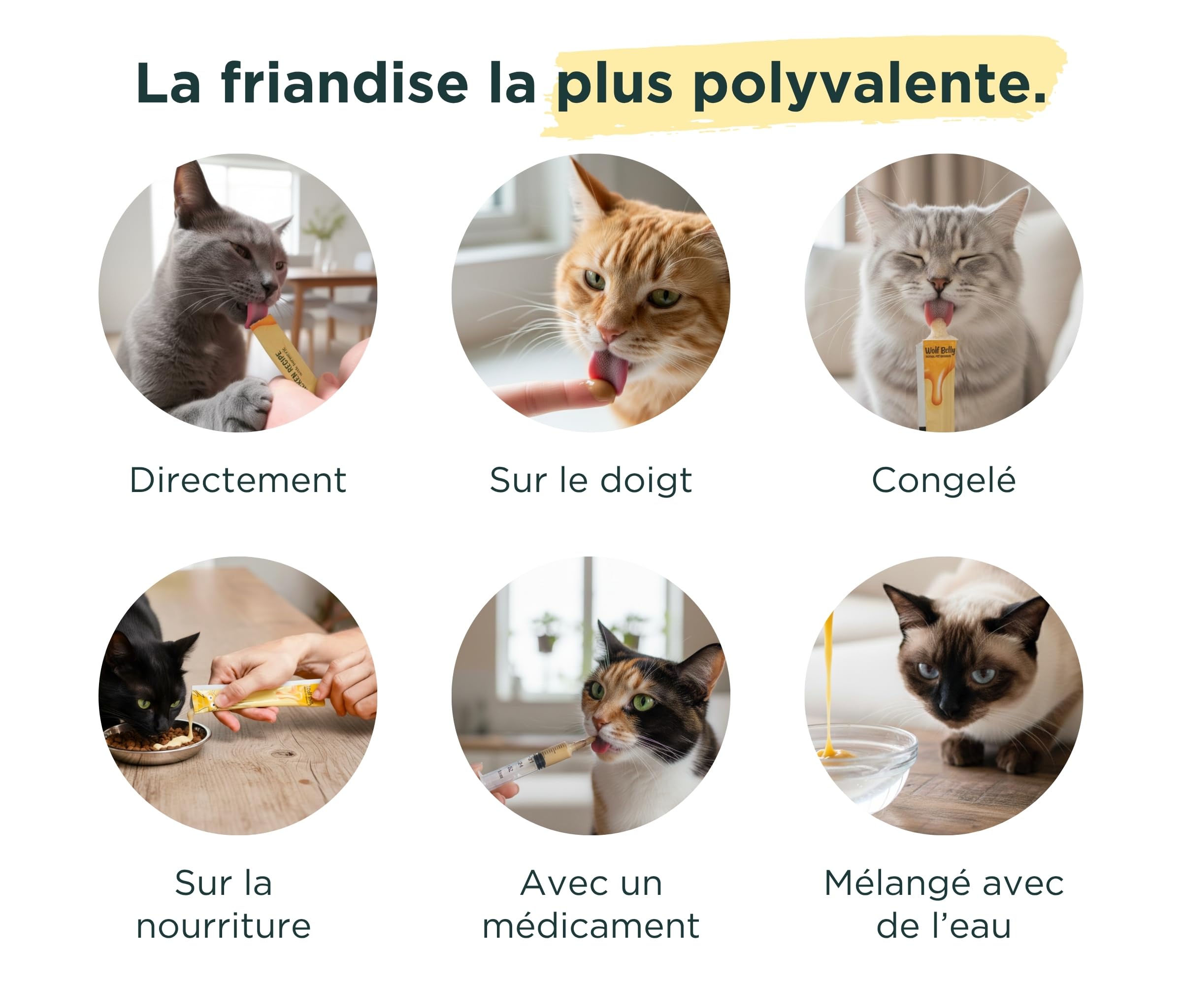 Wolf Belly - Liquid Snack pour Chat (40 uds x 15 g) à Base de Poulet | Creamy Friandises Saines Riches en Protéines | sans Céréales ni Colorants Artificiels - Fabriqué en Europe