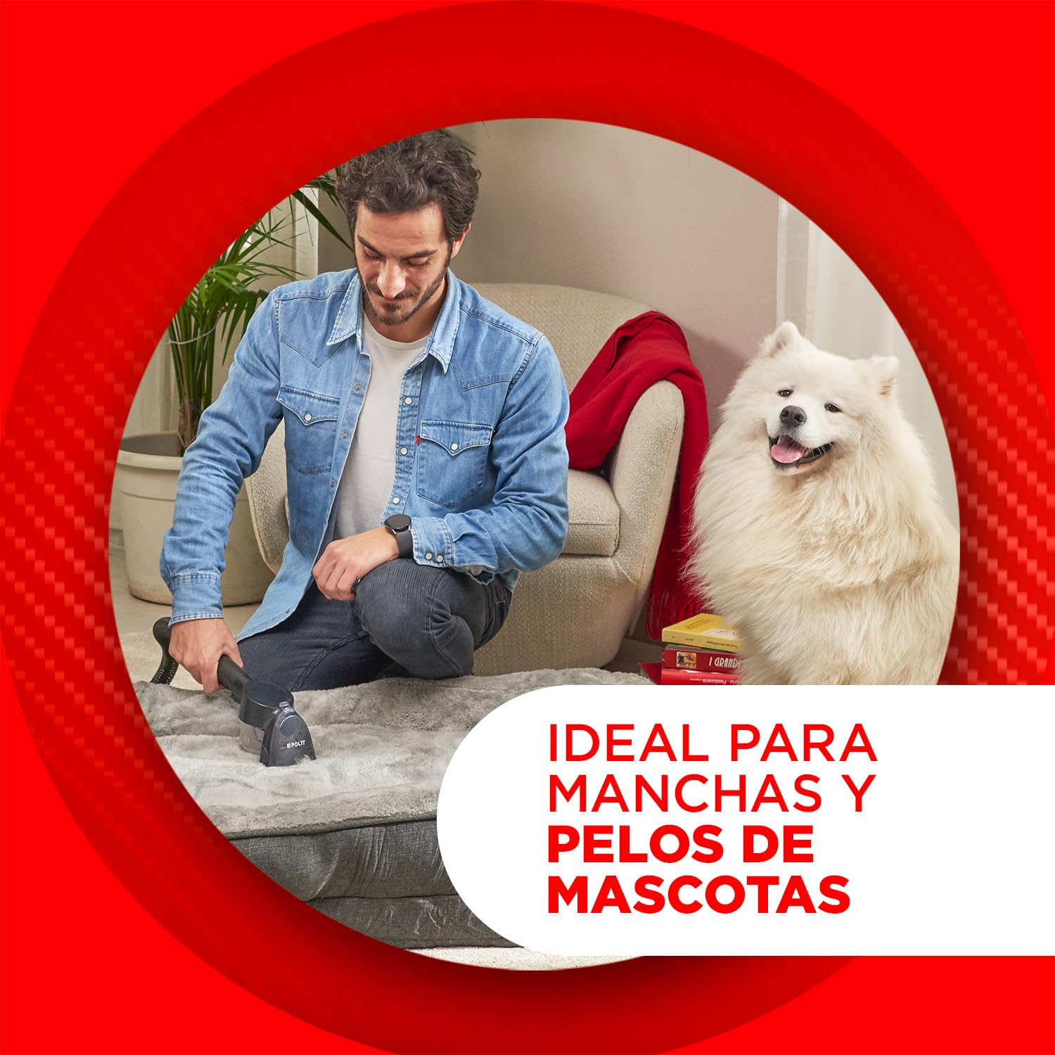 Polti StainOver Pet SC50, Limpia Tapicerías a Vapor 4 en 1 para Eliminar Manchas, Quitamanchas con Función Vaporetto, Cepillo con Depósito para Pelos de Animales, 10 accesorios incluidos, Gris Oscuro