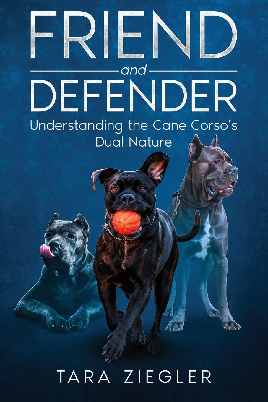 Friend and Defender: Understanding the Cane Corso’s Dual Nature