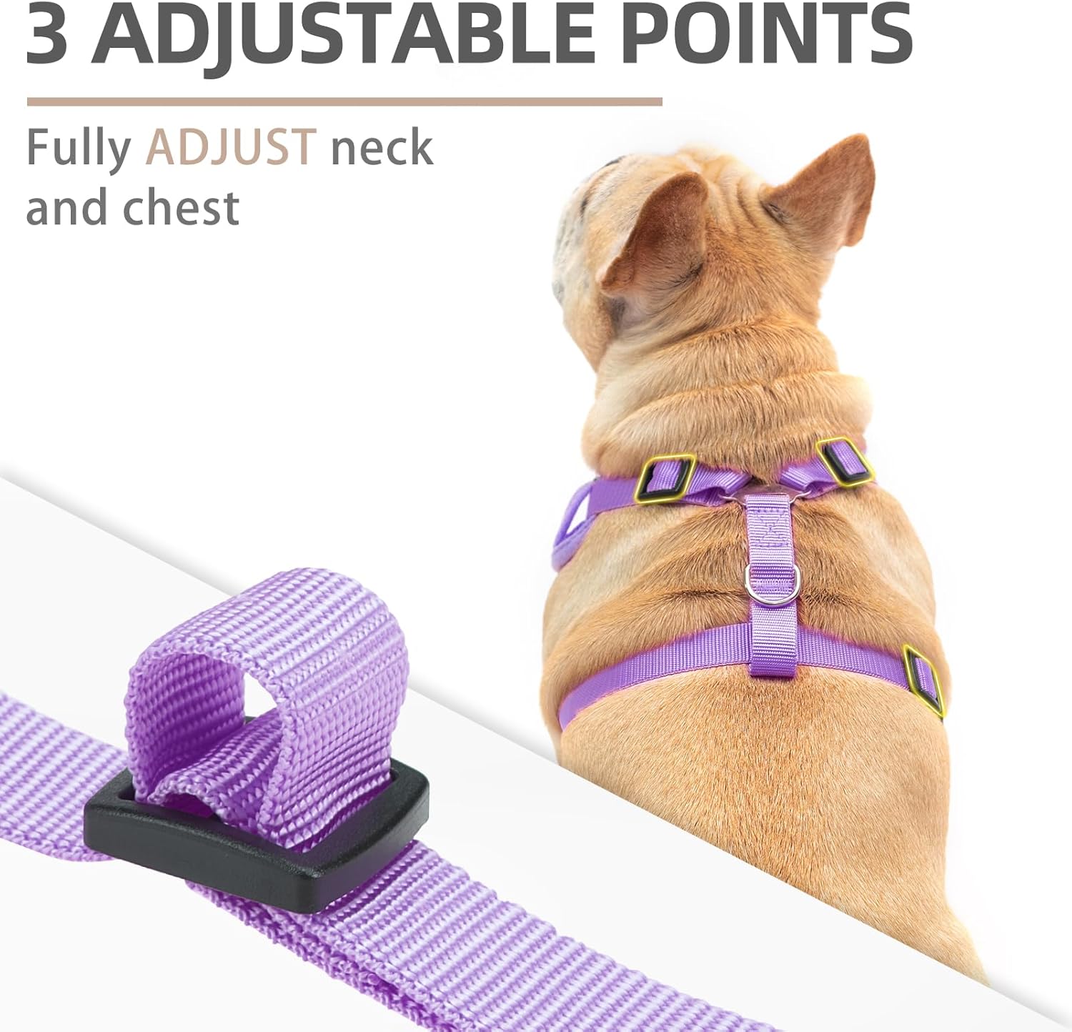 PUPTECK Small Dog Harness and Leash Set, No Pull Adjustable Puppy Cat Harness, Reflective Soft Mesh Pet Vest Small Sized M (12-20lbs, Chest 16"-21", Neck up to 17.5") Purple(Daisy)