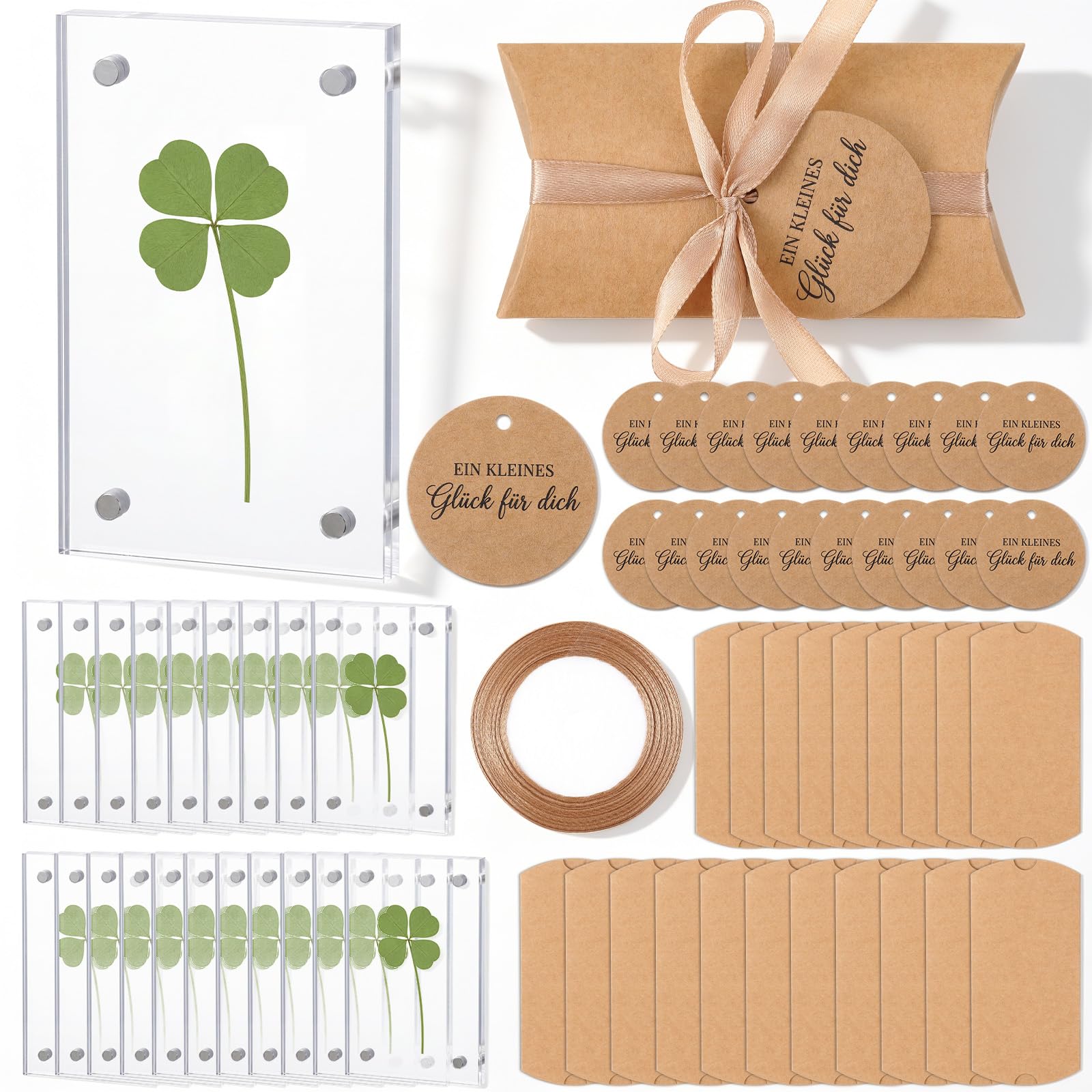 Trèfle à Quatre Feuilles avec Coffret Cadeau Porte-Bonheur Examen Remerciements Adieux Remise de Diplômes Anniversaires Cadeaux pour Femmes Hommes Collègues Amis Maîtresses Équipes(20 Sets)