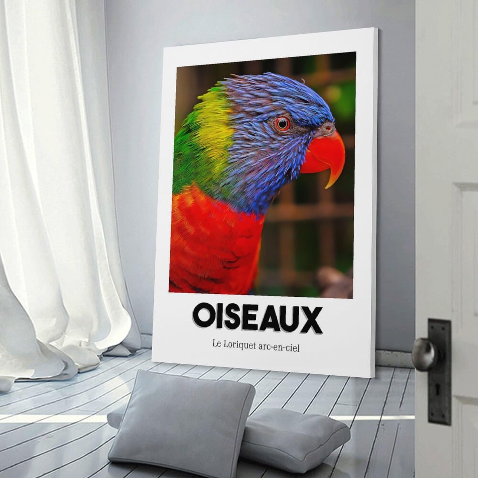 Junmoney Canvas Art Print Rainbow Lorikeet, 24x36inch(60x90cm), for Gallery Wall Layouts in Home Or Office, A Versatile Canvas Print for Layering