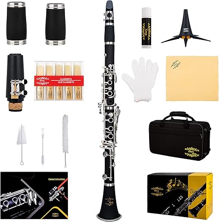Glory GLY-PBK Professional Ebonite Bb Clarinet with 10 Reeds, Stand, Hard Case, Cleaning Cloth, Cork grease, Mouthpiece Brush and Pad Brush, Black