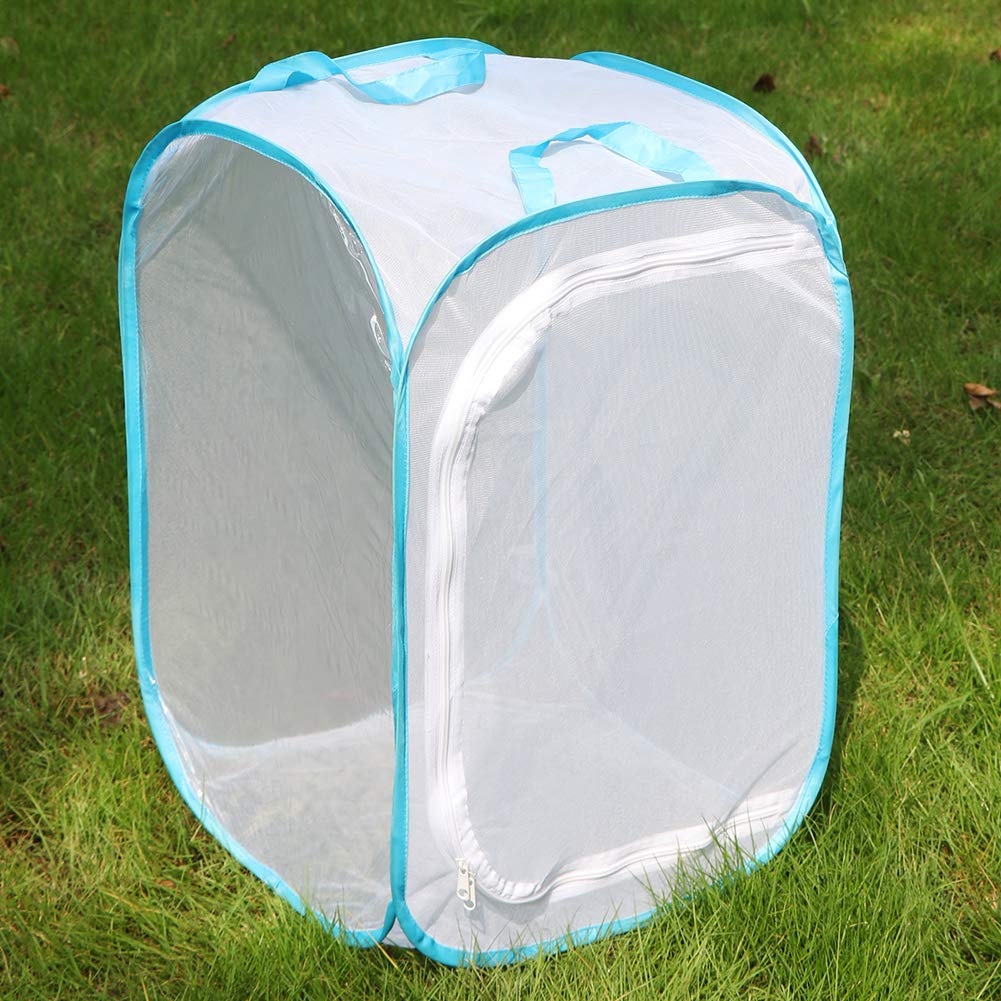 Butterfly Kit RESTCLOUD 2-Pack Butterfly Habitat Cage - 24 Inch Tall Pop-up Insect Terrarium Pop-up Insect Cage Terrarium Butterfly Rearing Enclosure