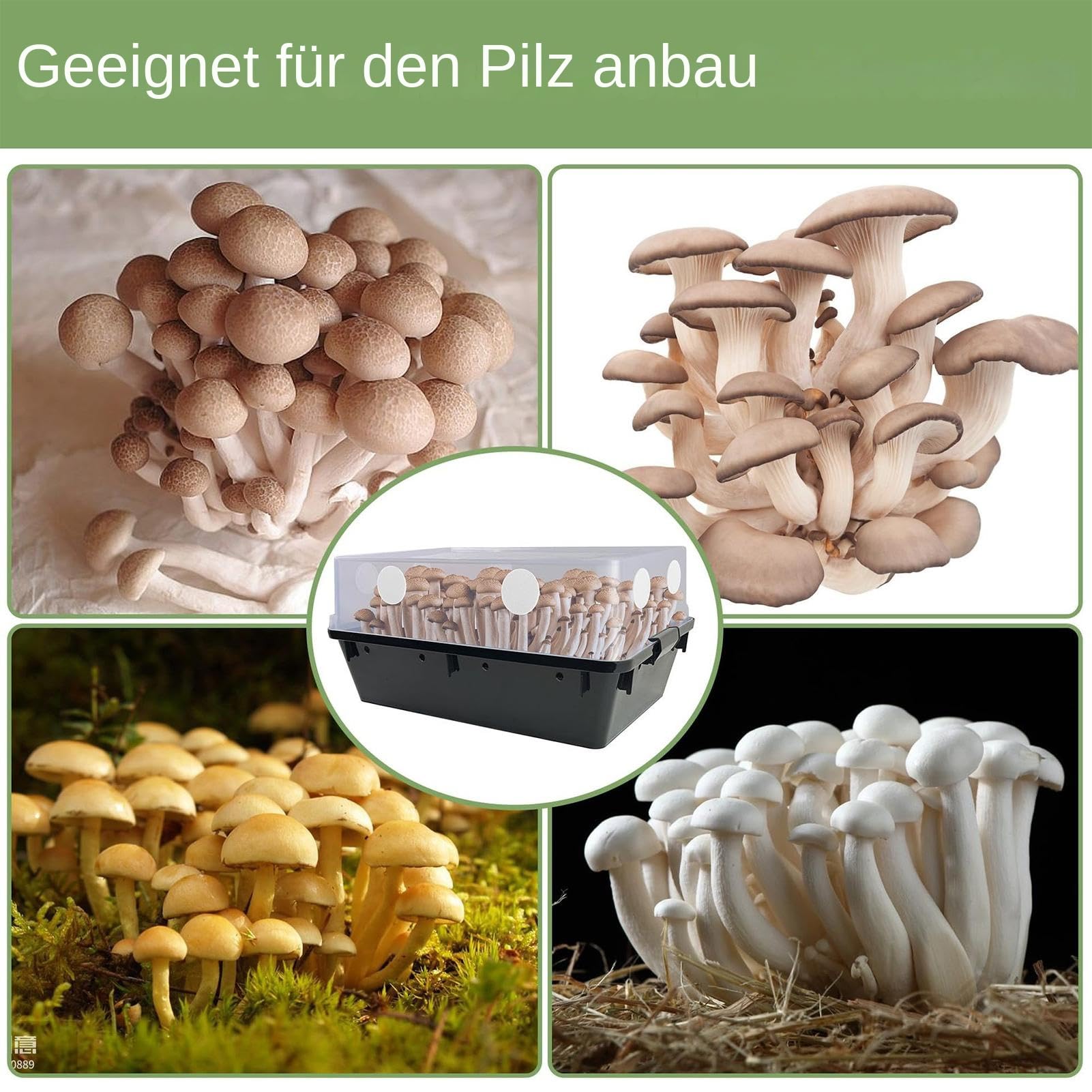 Monotub Filter Scheiben,Ersatzfilterpads Für Pilzzucht | Effiziente Filter Aufkleber Ersatz Für Einsteiger & Erwachsene Pilzzucht Begeisterte