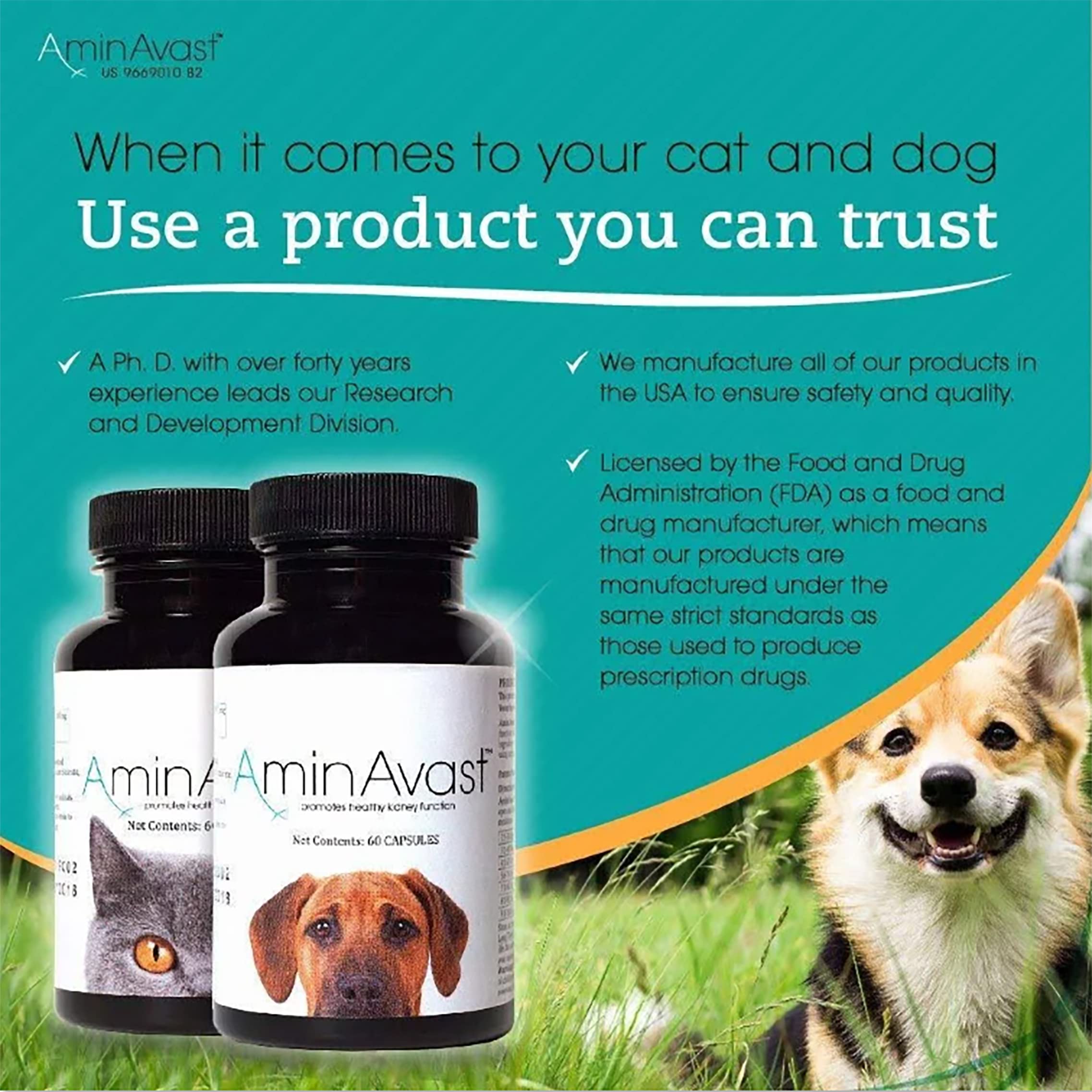 アミンアバスト 中・大型犬用規格（1,000mg）60カプセル - サプリメント