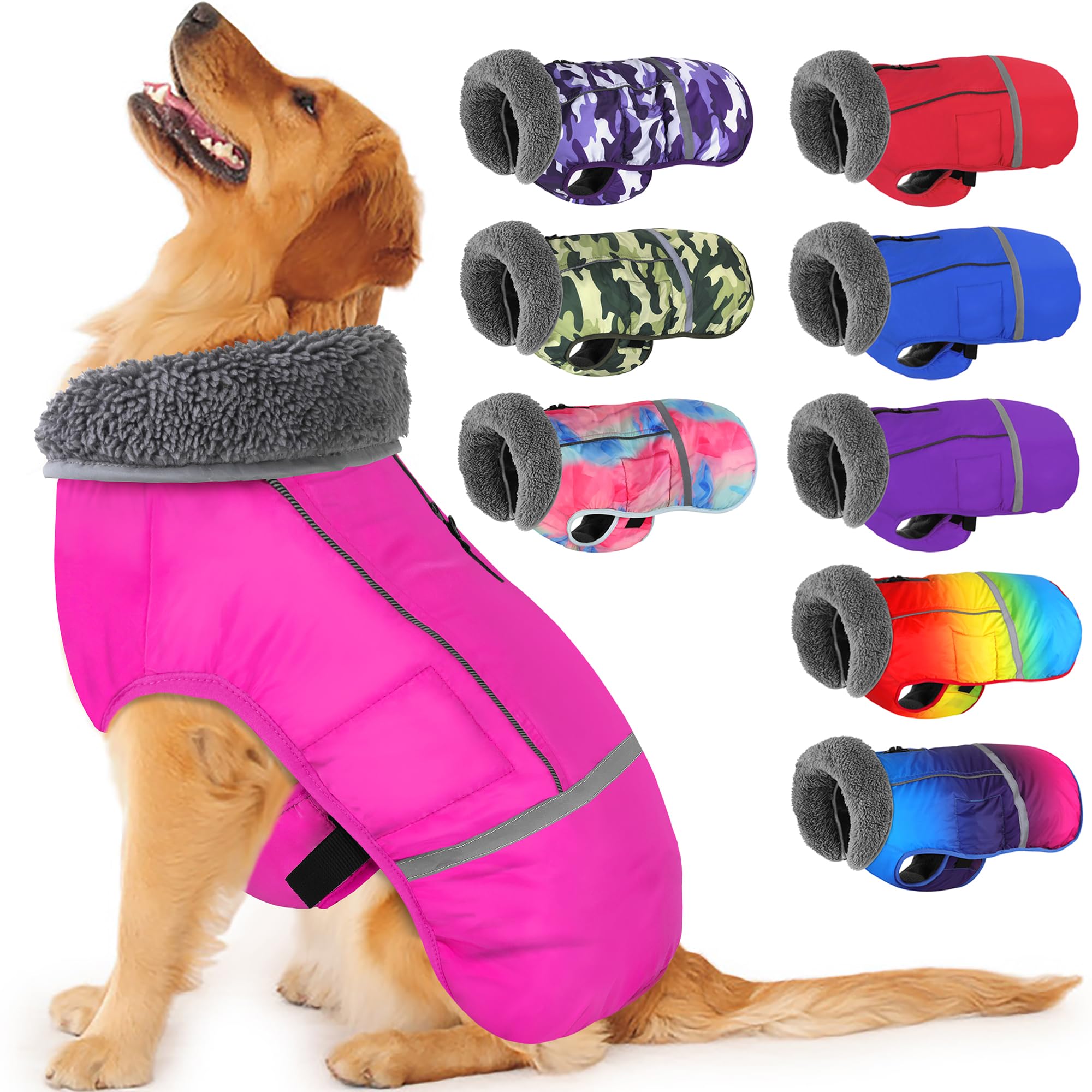 Best Winter Coat for Small Dogs: Ultimate Warmth & Style Guide