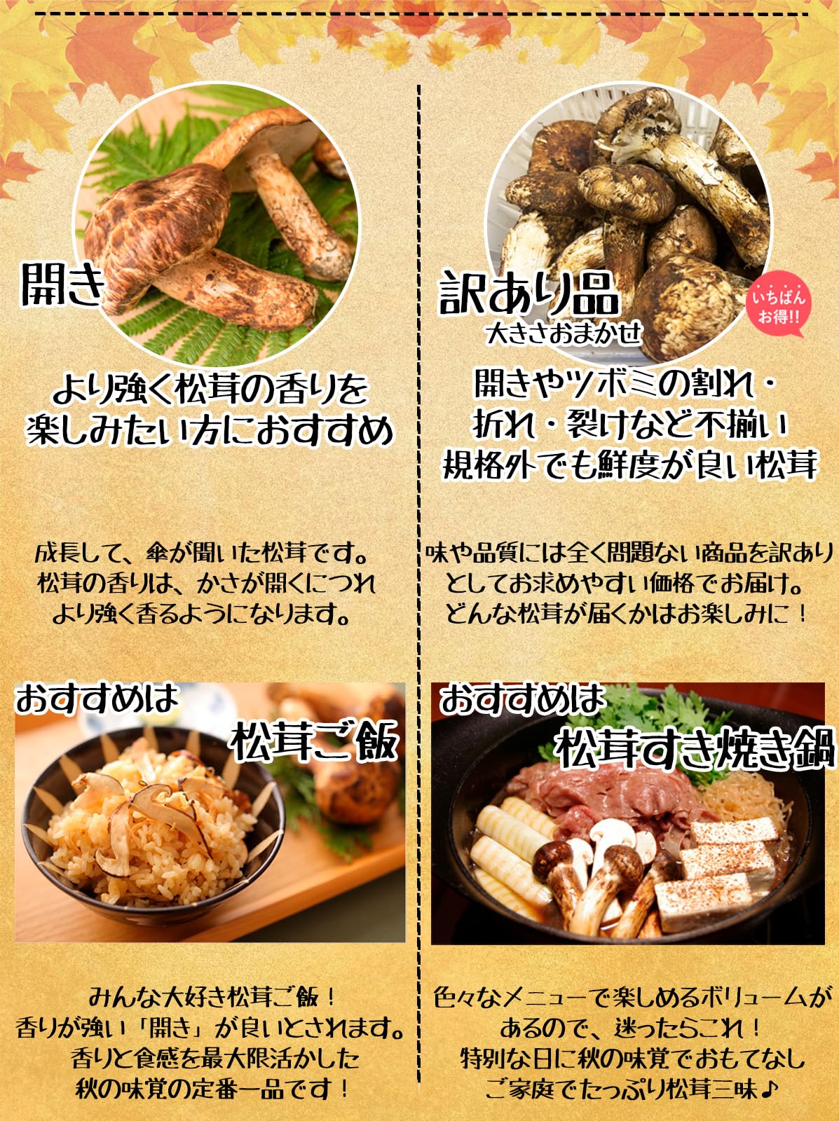 SOLD OUT26日早朝収穫松茸 お値下げします。 【公式通販】