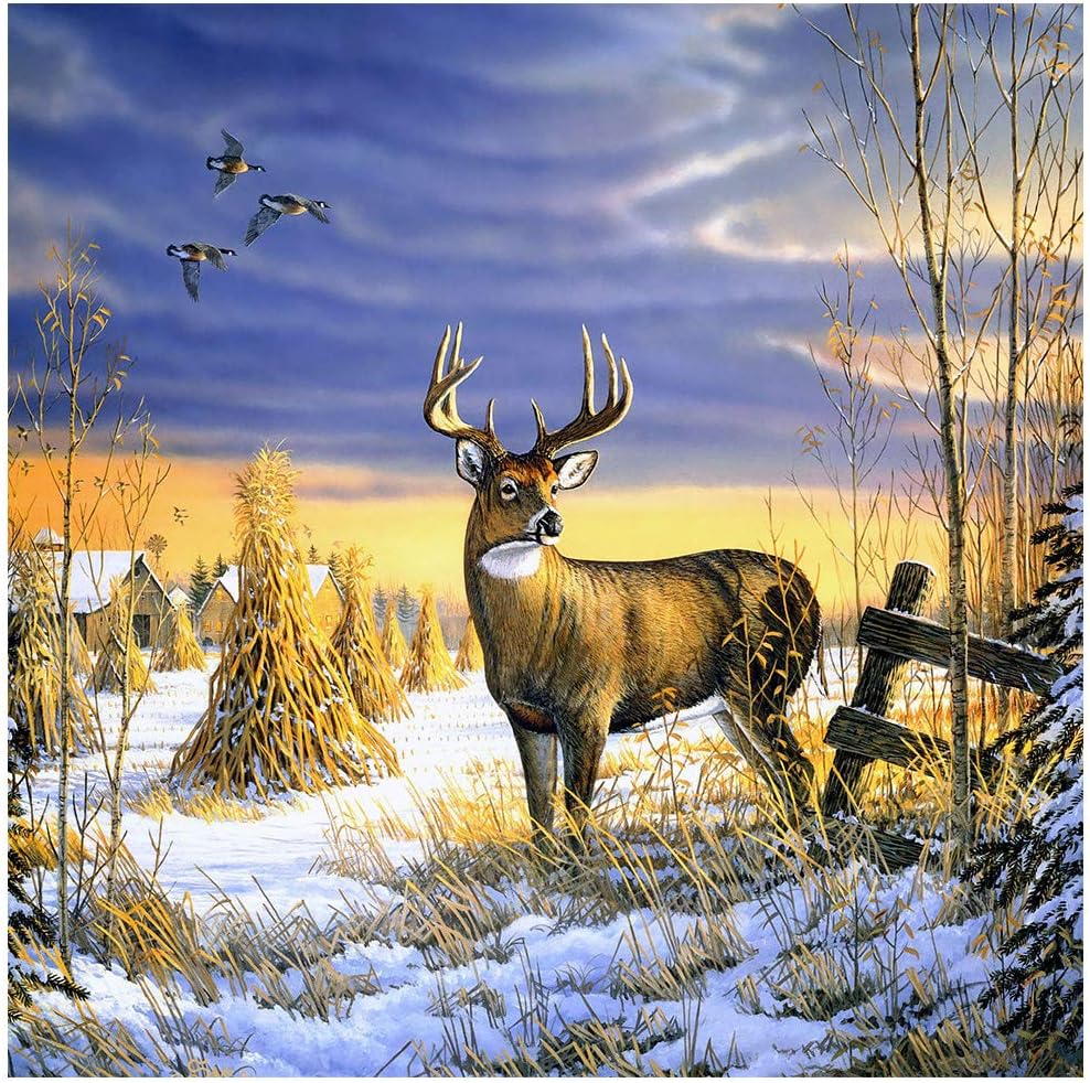 Obiettivo cervo 3d per la caccia