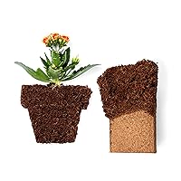 Vista 7 de Ladrillo de coco (650 gm) + Worm Bliss (1 cuarto de galón) – Fundición de gusano orgánico y fibra de coco orgánica para plantas – Coco Coco Turba