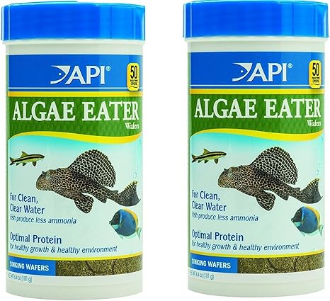 algae wafers petsmart