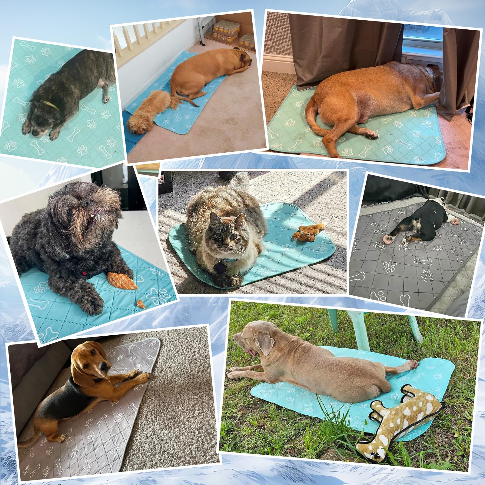 BEAUTYZOO Tappetino refrigerante per cani, grande, 58 x 88 cm, tappetino refrigerante per cani, durevole (Q-Max > 0,5), tappetino per gatti estivo, lavabile, antiscivolo, in seta ghiacciata, per cucce