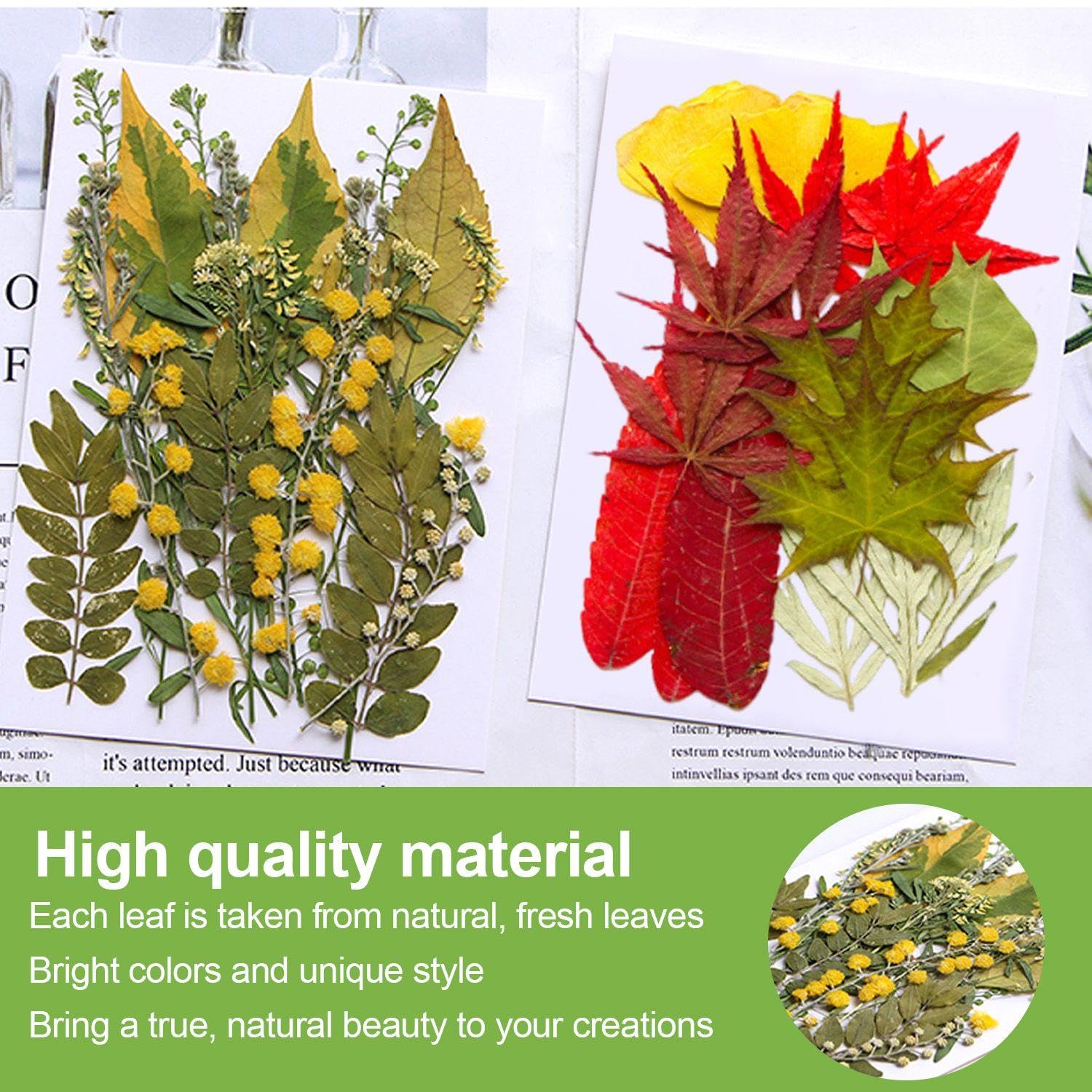 VEHYEGOI 42 Pieces Of Dried Flower Embossing, Plant Specimens, Diy Handicraft Materials, Can Be Used To Decorate Soaps - Image 3