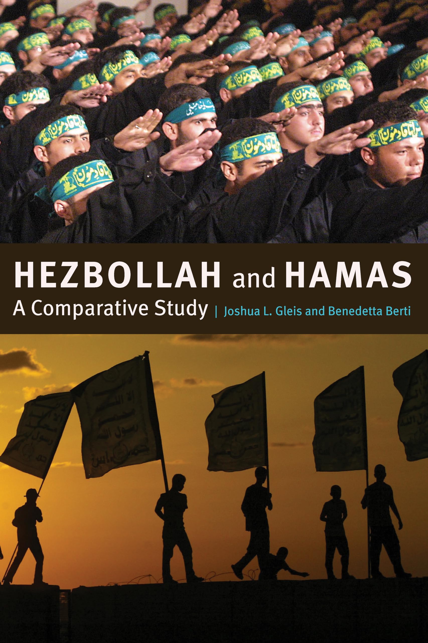 Buy Hezbollah and Hamas: A Comparative Study — BookShops.in