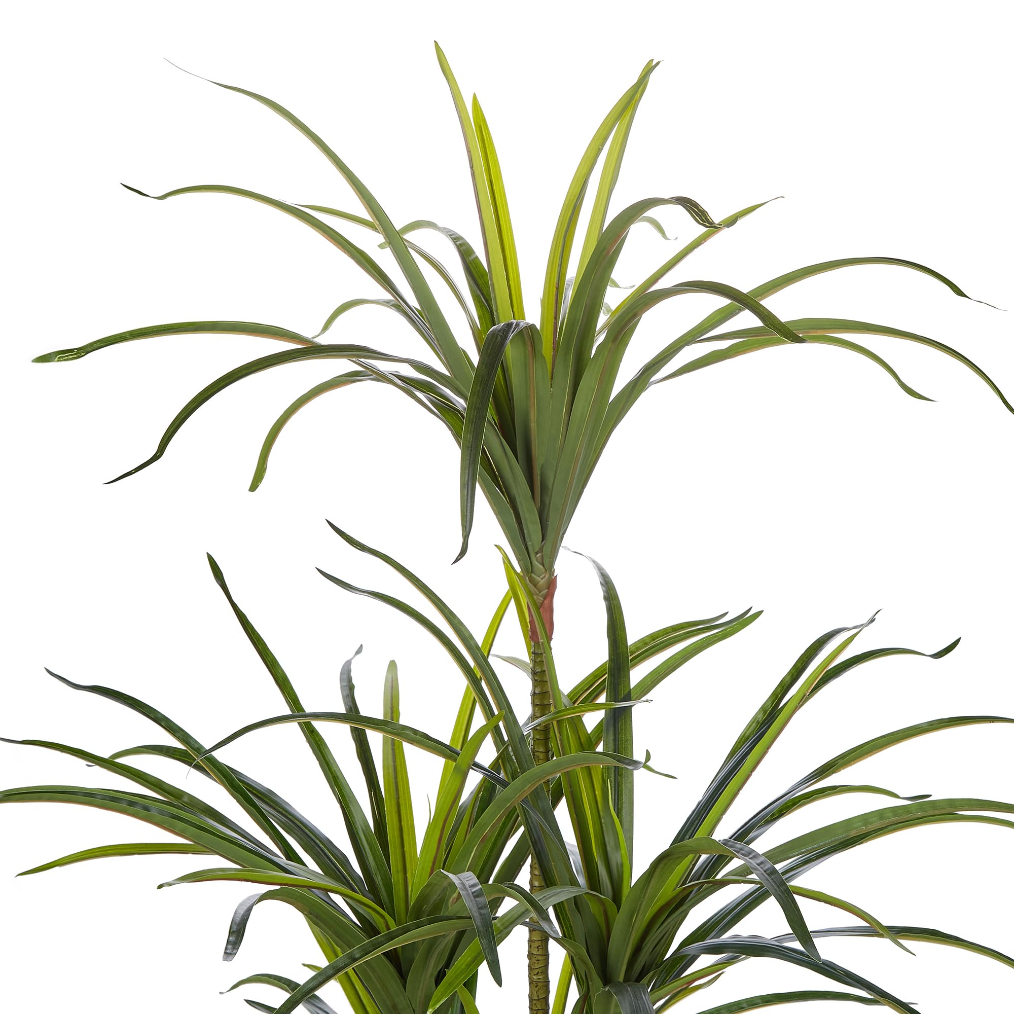 Beliani Dekorative Kunstpflanze in Drachenbaum-Form mit Topf 147 cm grün Dracaena Anita
