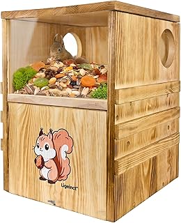 Large Outdoor 2-in-1 Squirrel House and Feeder