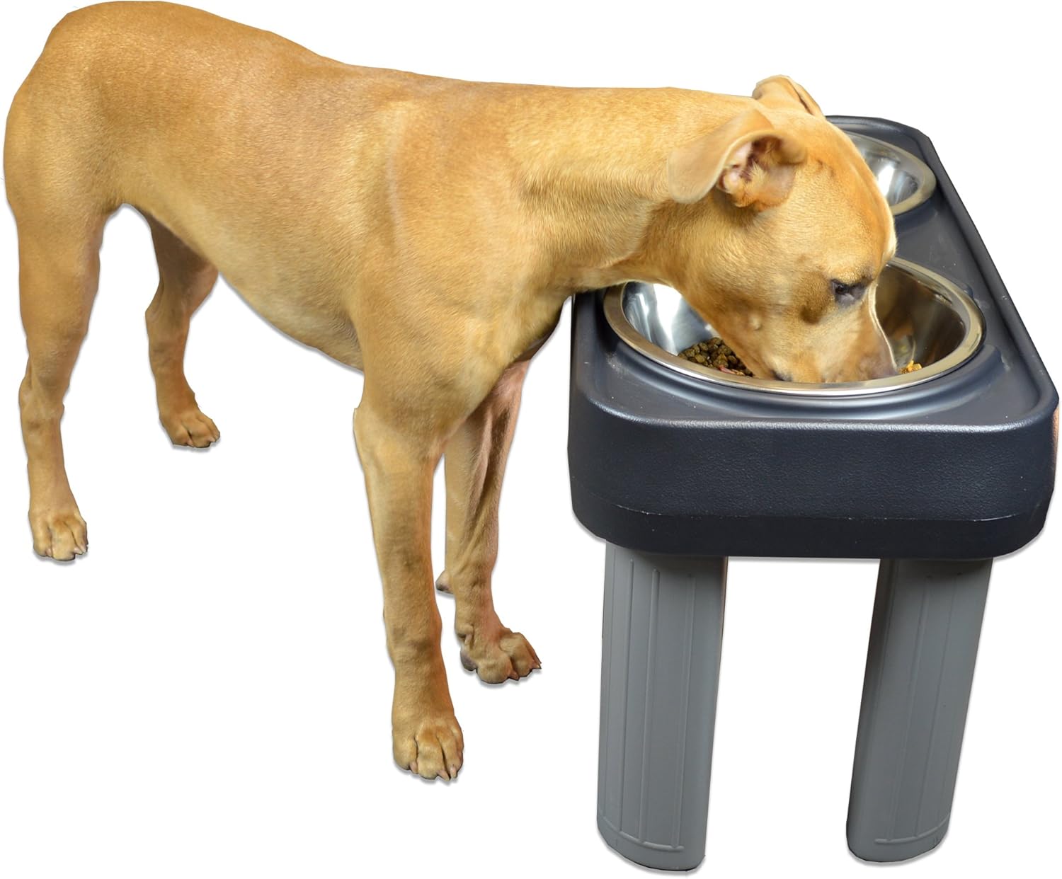 16 elevated dog feeder