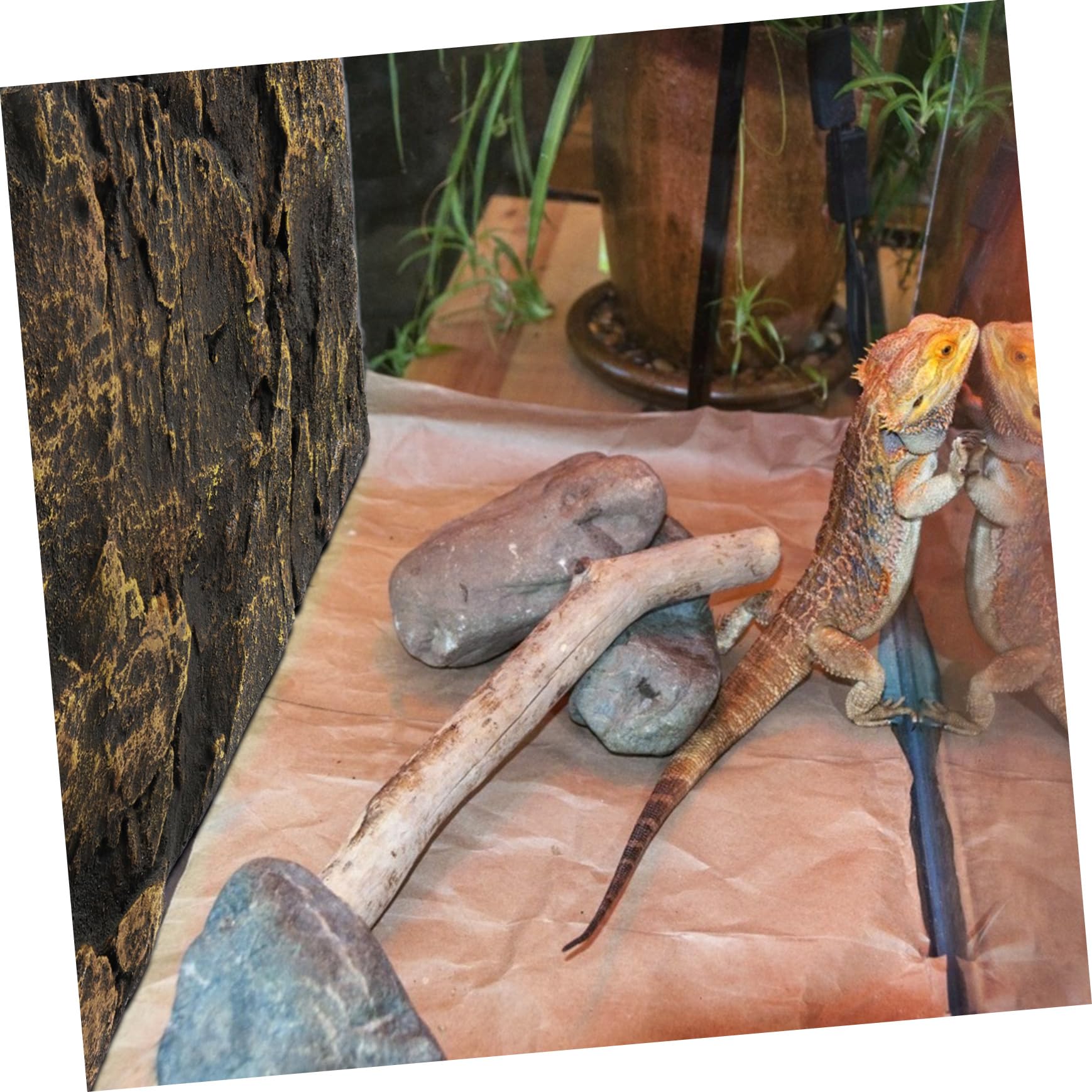 balacoo Reptile Tank Decoration 1pc Turtle Tank Background Plate Reptile 3D Decorative Sheet