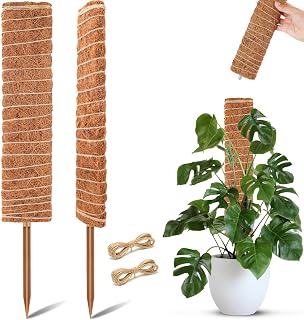 Flat Moss Poles for Climbing Plants Monstera Stackable Moss Pole Plants Coir Totem Pole Plant Support with 13 Feet Garden Twist Tie for Indoor Plants Grow Upward 2 Pack 21”