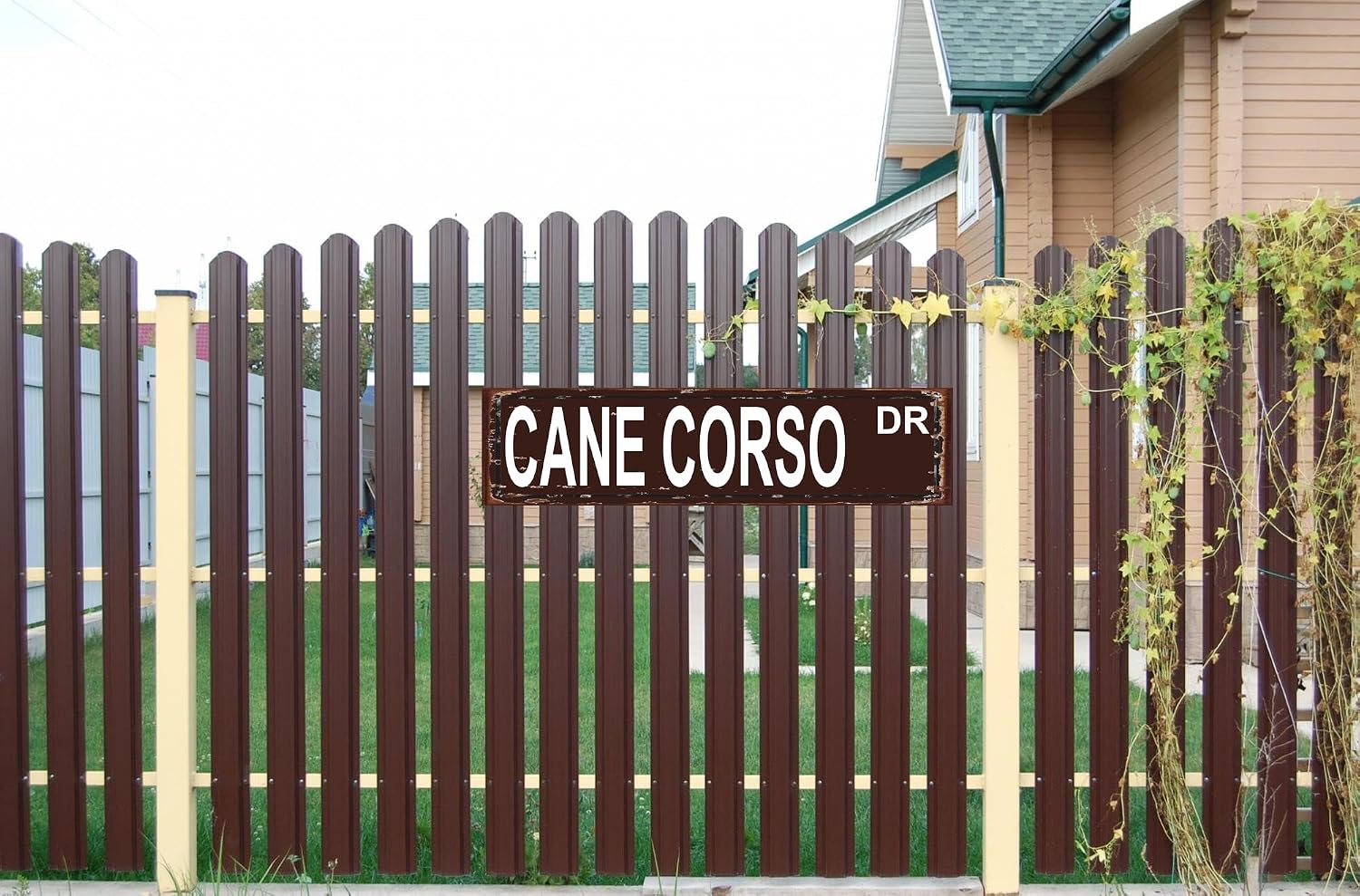 Cane Corso DR Sign Dog Lover Funny Street Sign Novelty Sign for Door Name Plate Plaque Home Patio Garden Bar Farm House Garage Wall Decor Metal Tin Sign 16 x 4 Inch image 3
