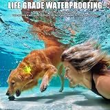 Ver la foto 6