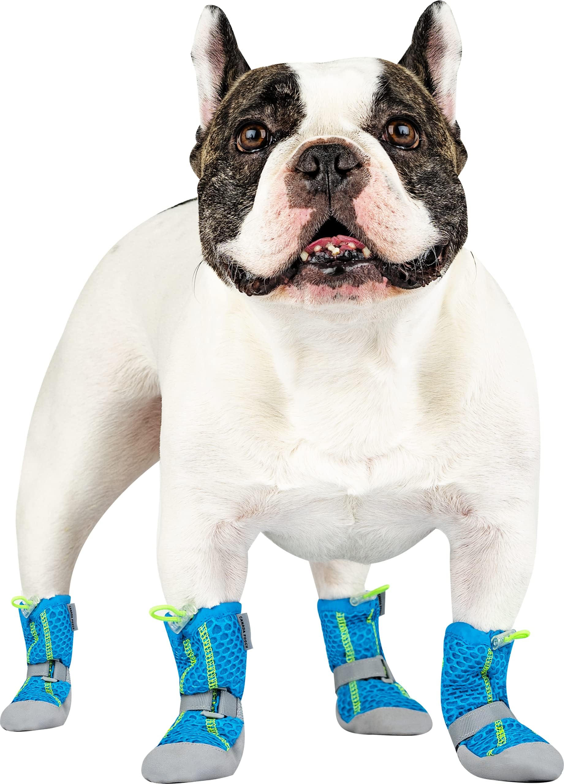 Hipaw Outdoor Dog Boots Winter Dog Shoes Nonslip for Snow