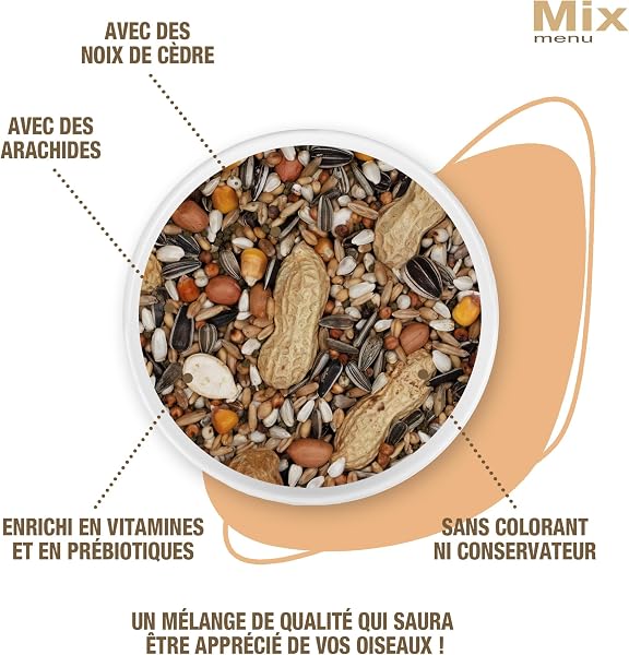 Riga - Menu Mix pour Perroquets - Mix Vitaminé - Nourriture pour Oiseaux - Graines Et Céréales - Aux Noix - Vitamines Et Minéraux - Enrichi en Prébiotiques - sans Colorant, Ni Conservateurs - 750 g - 3