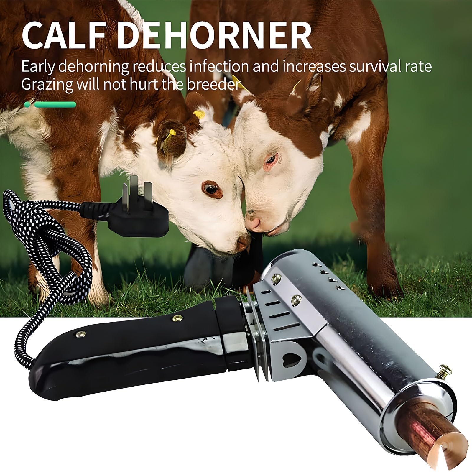 Dehorner elettrico per vitelli e capre, resistente alle alte temperature, strumento per la cura del bestiame per bovini e pecore (15-70 giorni)