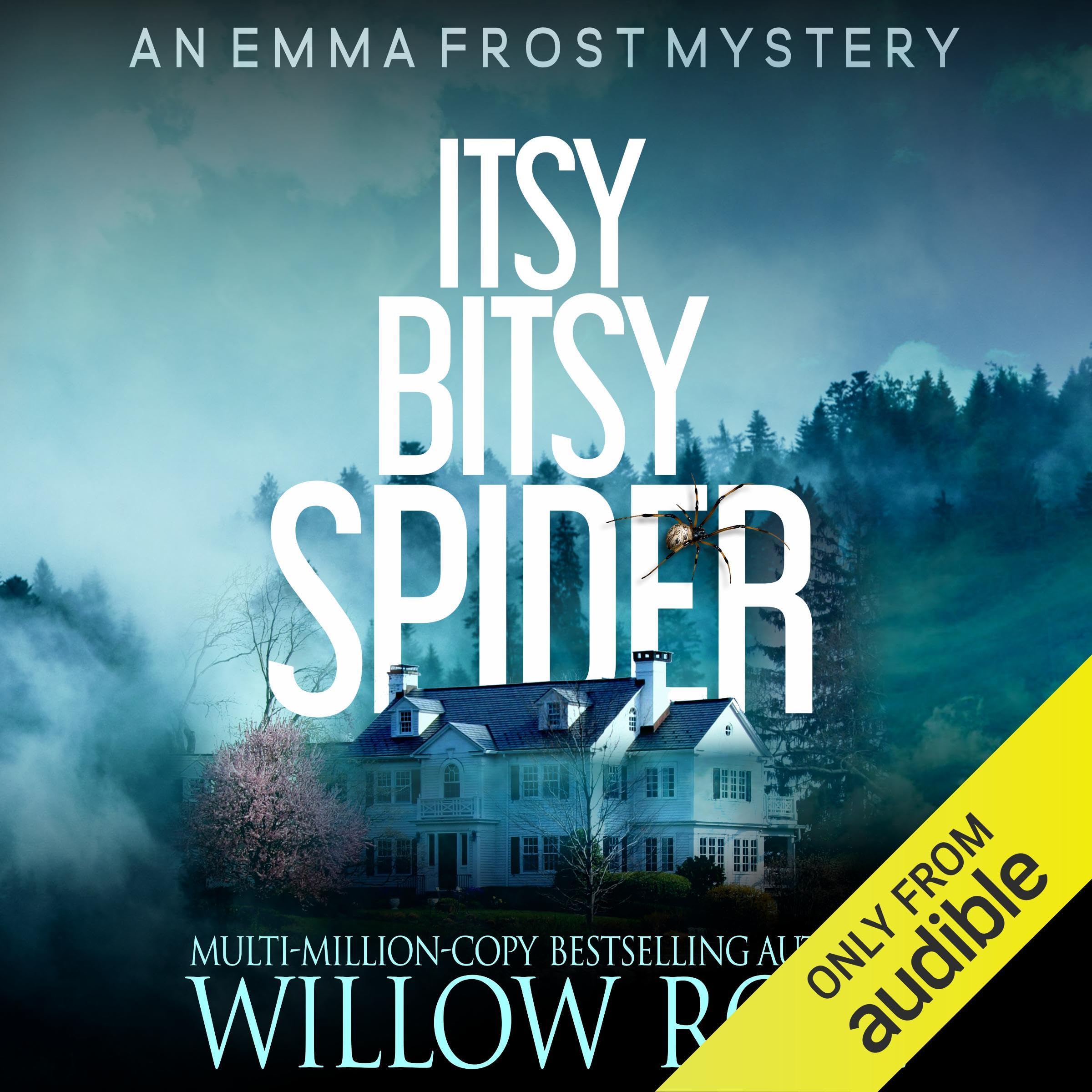 Cover art for Itsy Bitsy Spider