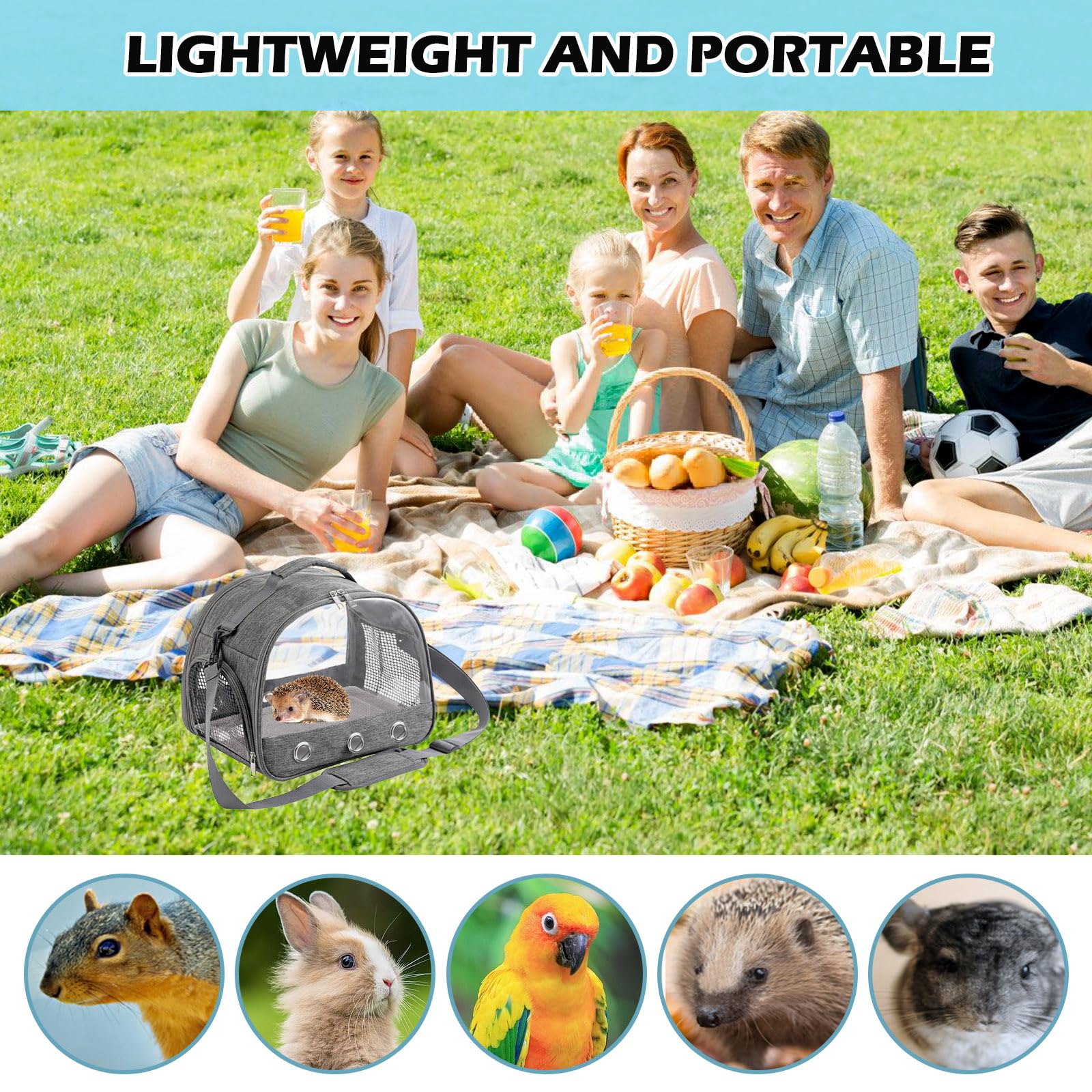 Petit sac de transport pour animaux de compagnie, petit animal, boîte de transport pour chat, avec ouverture latérale, sac de transport pliable, pour chatons, chiots, oiseaux (gris)