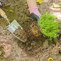 Vista 6 de Pala de mano para jardín de Berry&Bird, acero inoxidable, resistente, para mujeres, herramienta de jardinería con mango ergonómico y cabeza de metal