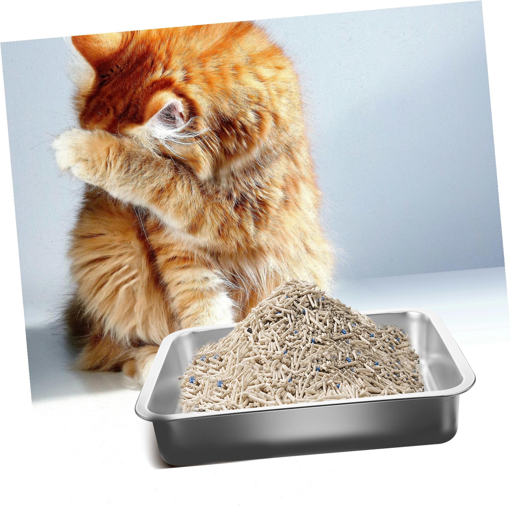 Abaodam Edelstahl Katzentoilette Offen 36x27x7cm Katzenklo ohne Löcher Rostfrei Große Katzentoilette für Kätzchen und Reisen