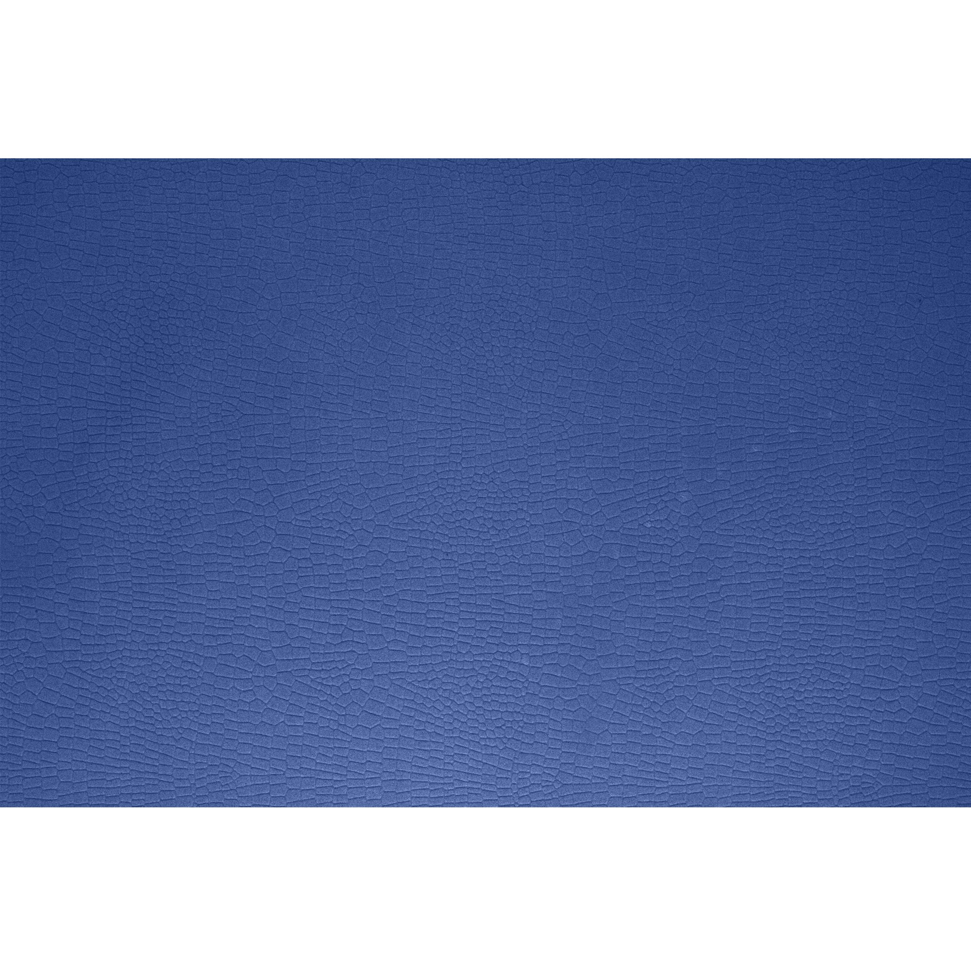 BPS 'Gator' Skimboards with Colored EVA Grip Pad and High Gloss Clear