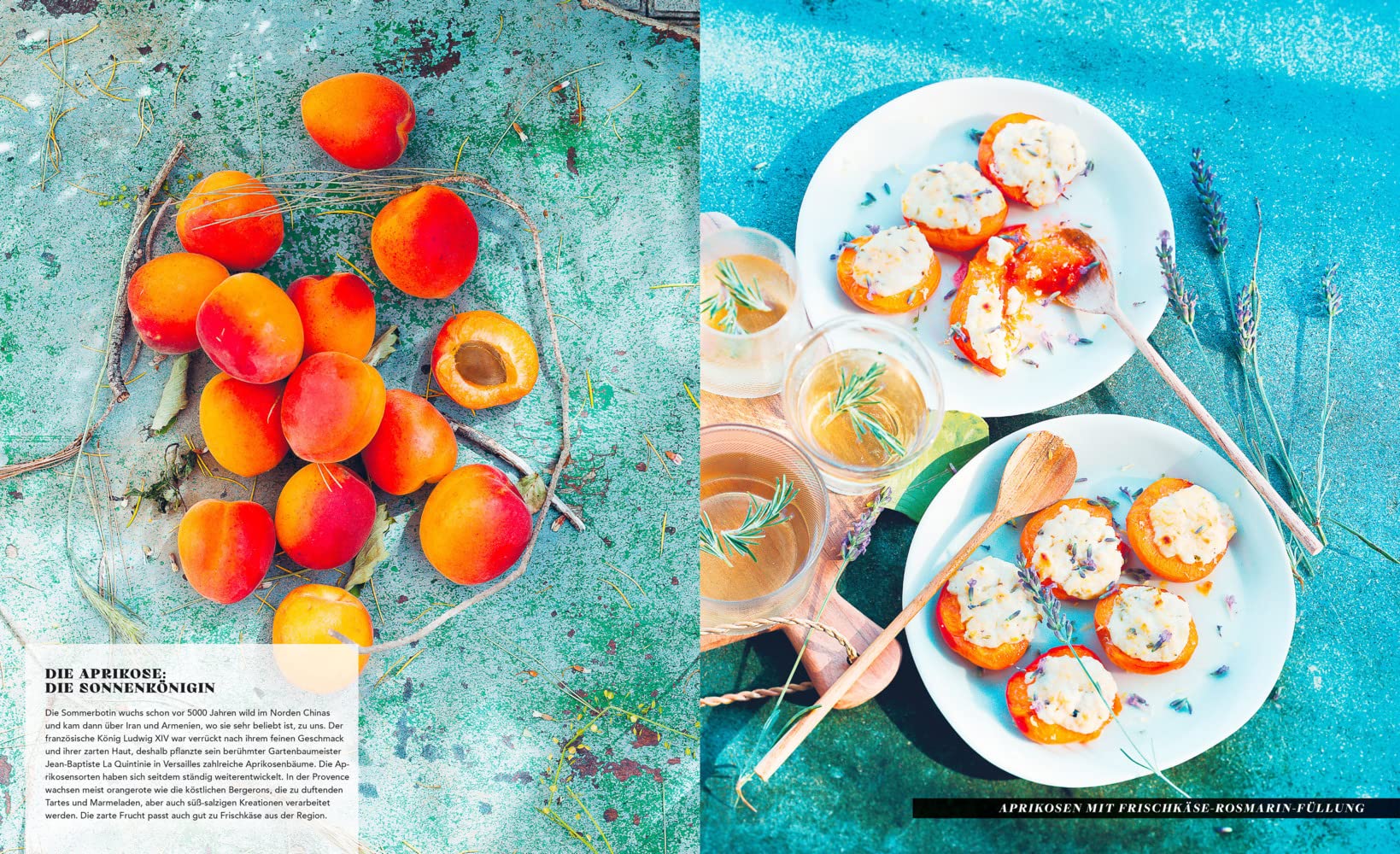 Provence: Reise durch die Sonne in 100 Rezepten