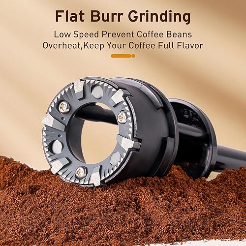 Miniatura 3 de Molinillo de café eléctrico para 2-12 tazas, molinillo de rebabas ajustable para 14 ajustes de molienda, acero inoxidable