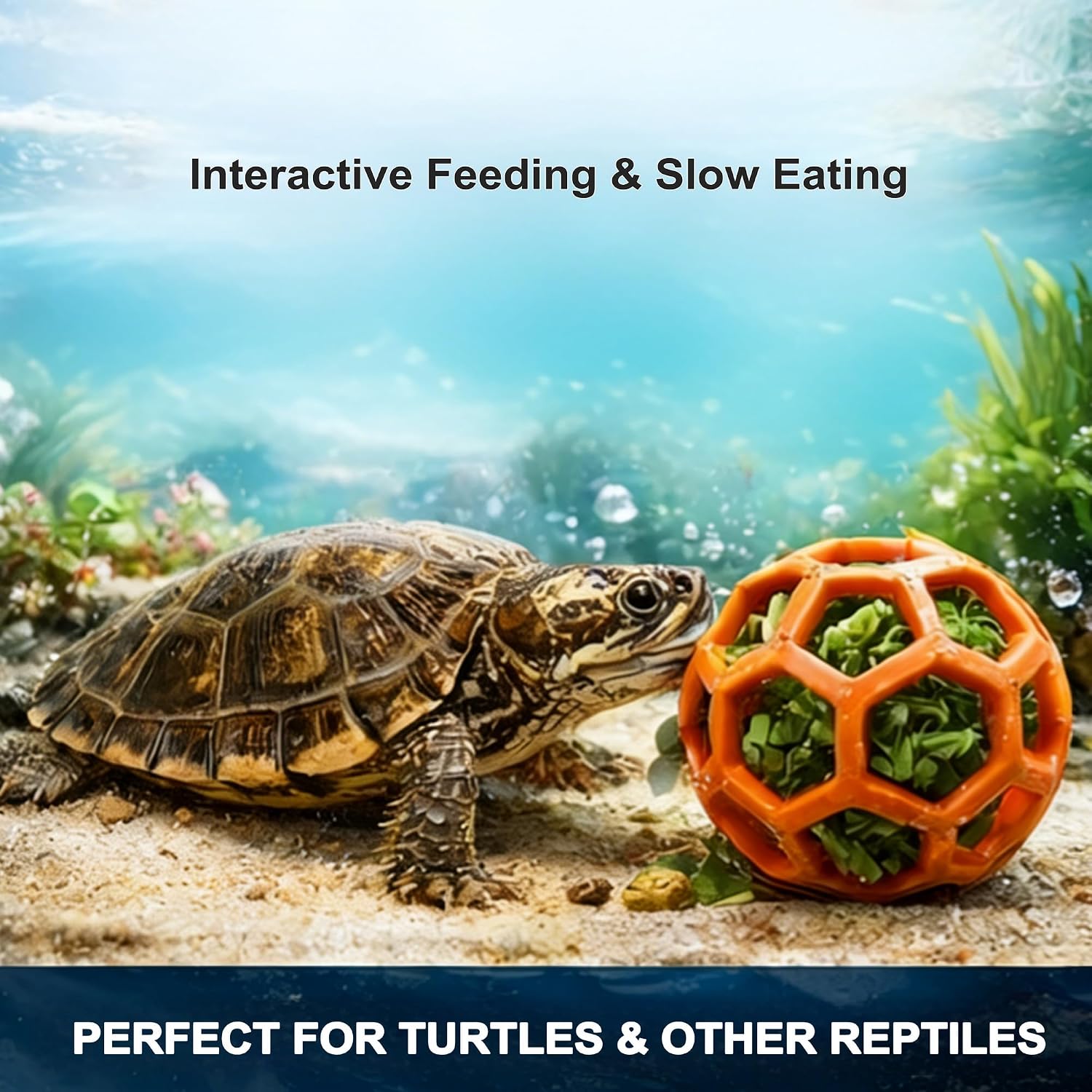 Turtle Brush & Feeding Ball Set, Aquarium Self-Grooming Scratcher for Shell, Interactive Slow Feeder Toy for Turtles, Turtle Tank Accessories