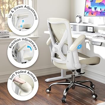 Ergonomic Office Chair: 330LBS Home Office Desk Chairs with Lumbar Support