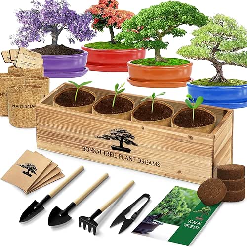 Bonsai Tree Kit, Bonsai Starter Kit with Seeds & Tools,