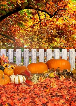 5x7ft Thanksgiving Fall Photography Backdrop Autumn Harvest Pumpkins Maple Leaves Background for Newborn Birthday Party Celebration Banner Family Portrait Photoshoot Vinyl Backdrop SCO302A