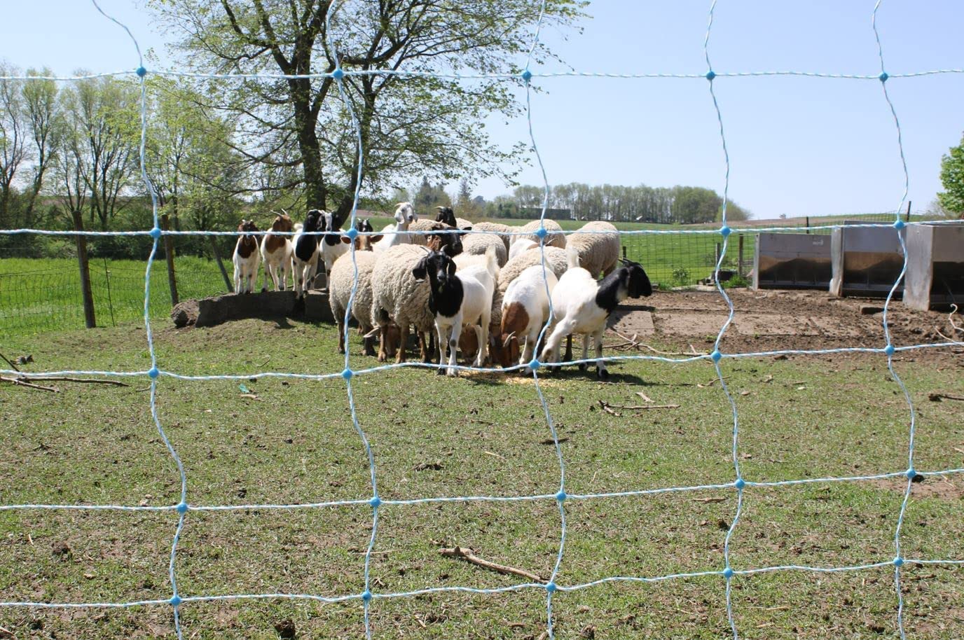 Starkline 35"x164' Electric Netting All-in-One Solar Kit for Goats, Sheep, Gardens, Beehives, Dogs, and More for Backyards, Homesteads, Farms and Ranches