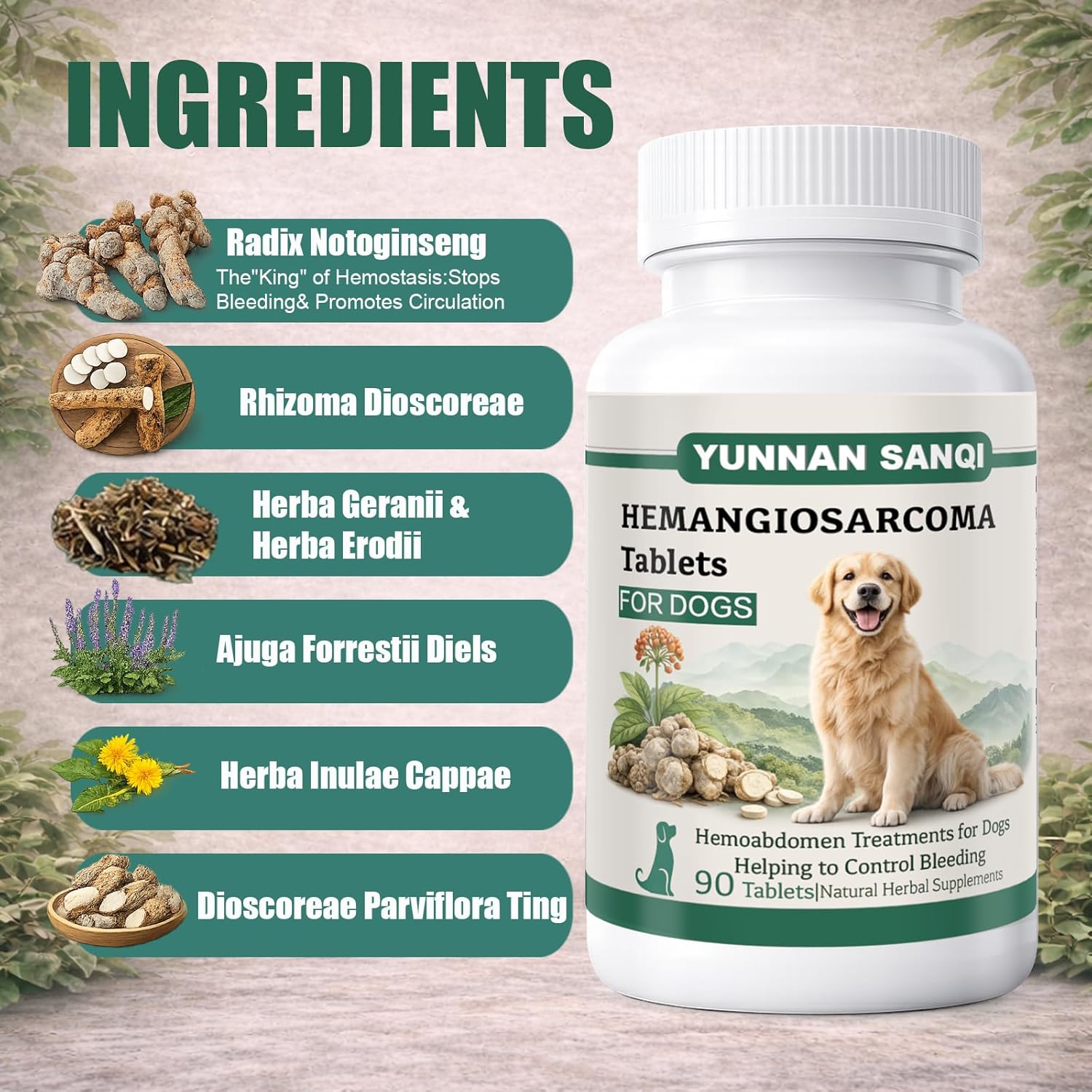 yunnan Sanqi Tablets for Dogs – Pure Herbal Quick Stop Bleeding&Blood Support for Hemangiosarcoma, Hemoabdomen,Pericardial Effusion,Severe Bruising, Ulcer-Related Bleeding, Bloody Stools–90 Tablets