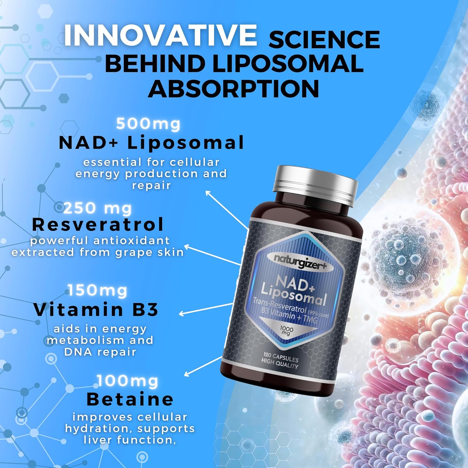 Liposomal NAD+ Supplement with Resveratrol, TMG & Vitamin B3 | 4-in-1 Healthy Aging & Cellular Energy Support | High Absorption NAD Plus for Men & Women Over 40 | 120 Capsules