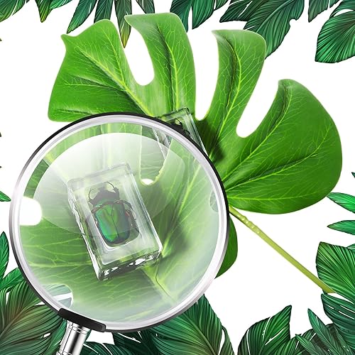 Vista 24 de 12 piezas de insectos en resina colección de insectos de resina de arácnidos, pisapapapeles de diferentes insectos para niños, juguete educativo