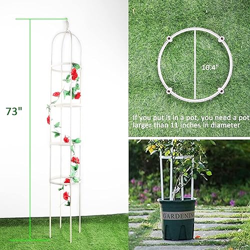 Miniatura 5 de Enrejado de jardín para plantas trepadoras, tubo de metal inoxidable con soporte resistente de 6 pies, soporte para plantas en maceta para jardín y
