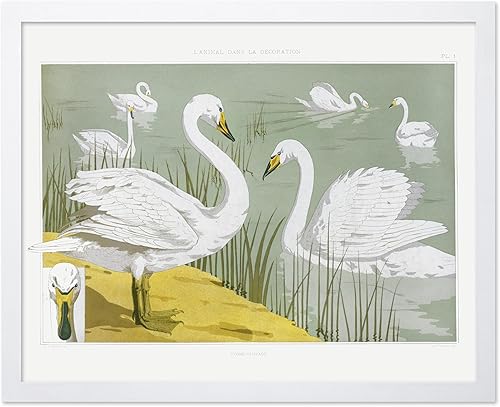 Miniatura 117 de Poster Master Póster vintage de flamenco americano, estampado retro de flamenco rosa, arte de pájaro, regalo para él, ella, amante de los animales,