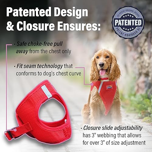 Vista 119 de DOGGIE DESIGN American River - Arnés para perro de la colección ombré, color frambuesa (S (circunferencia de 13 a 16 pulgadas)