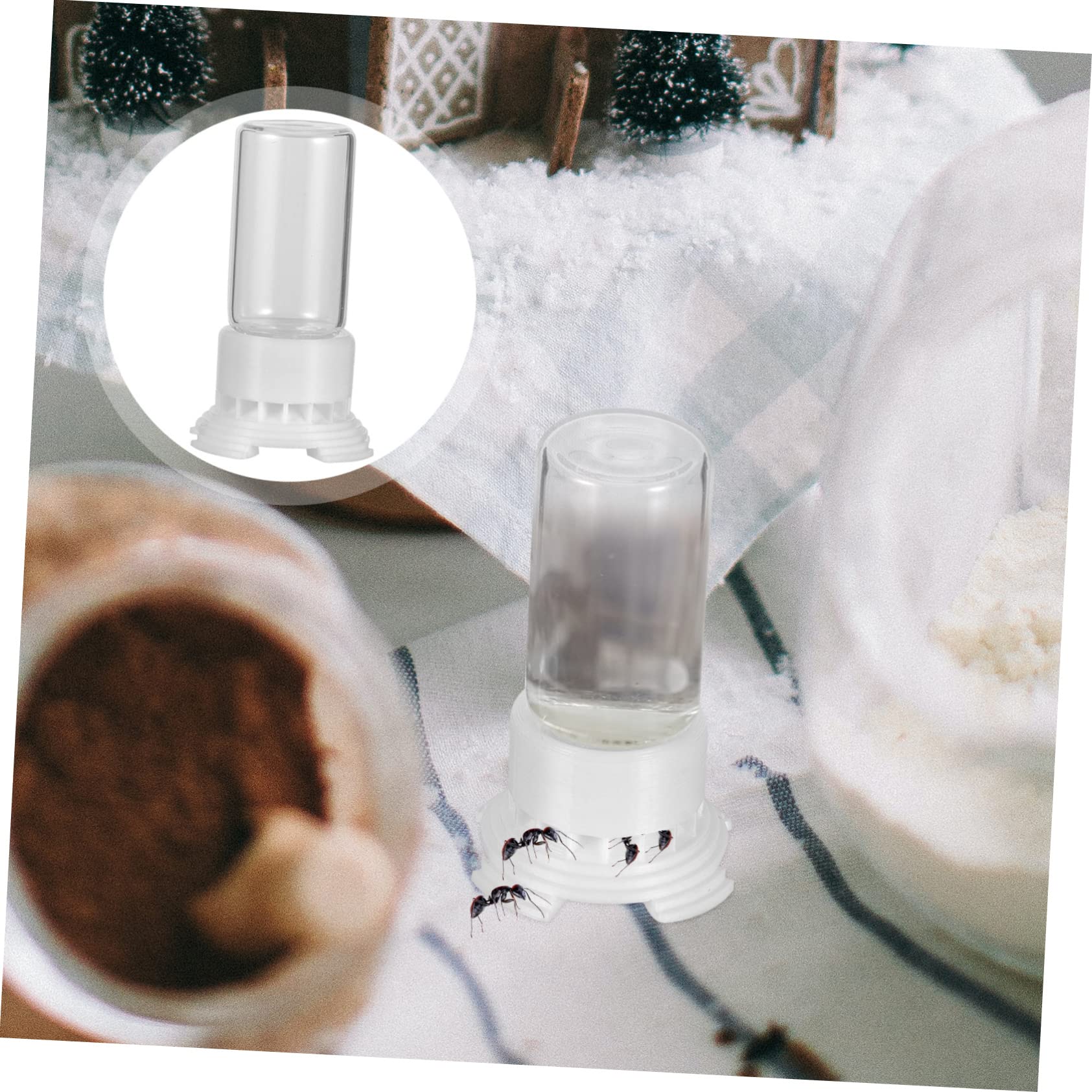 8pezzi Ant Water Feeders Mangiatoie per Design per e Durabilità per Allevatori e Appassionati Insetti